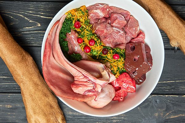 Raw Dog Food: Just a Trend or Actually Good for Your Pup?