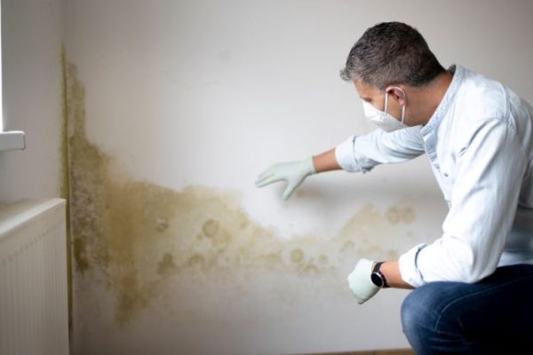 The Hidden Dangers of Mold and Why Professional Inspection Matters