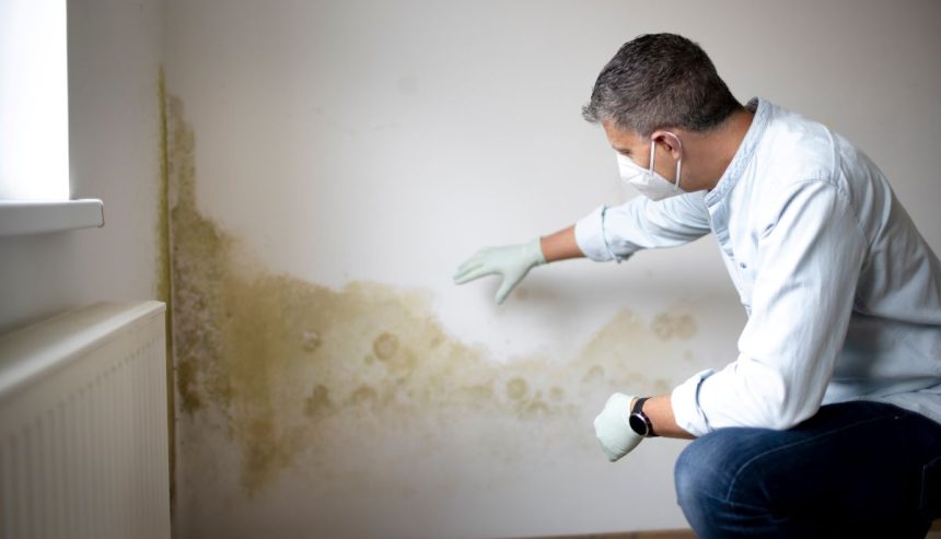 The Hidden Dangers of Mold and Why Professional Inspection Matters
