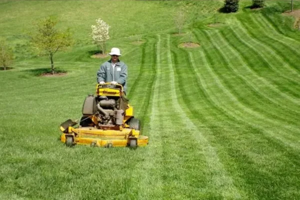 How Often Should You Service a Lawnmower